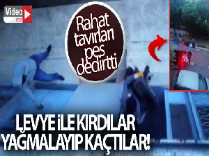 Avcılar'da sabah saatlerinde şoke eden hırsızlık anları