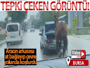 Bursa'da aracın arkasına at bağlayıp çevre yolunda koşturdu
