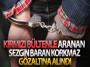 Sezgin Baran Korkmaz Avusturya'da gözaltına alındı