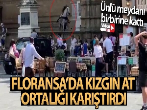 Kızgın at Floransa'nın ünlü meydanını birbirine kattı