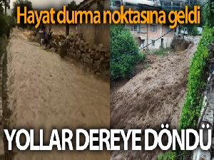 Şiddetli yağış köydeki yolları dereye çevirdi