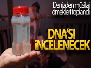 Müsilaja neden olan mikroorganizmaların DNA'sı incelenecek