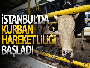 İstanbul'da kurban hareketliliği başladı