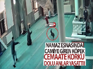 Namaz esnasında camiye giren köpek, cemaate korku dolu anlar yaşattı