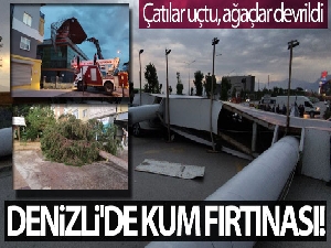 Denizli'de kum fırtınası: Çatılar uçtu, ağaçlar devrildi
