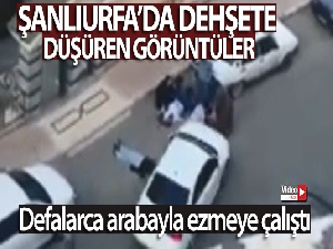 Şanlıurfa'da dehşete düşüren görüntüler