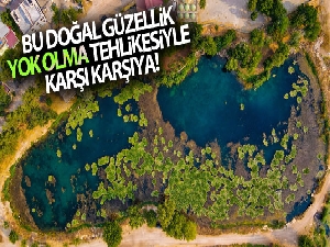 Nilüfer çiçeği ve Nilüfer Gölü yok olmakla karşı karşıya