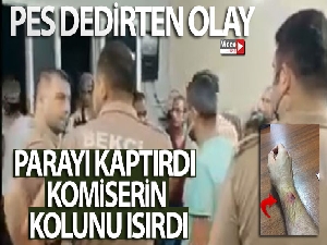 Parayı kaptırdı komiserin kolunu ısırdı