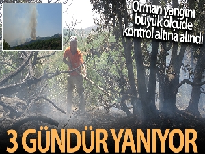 Orman yangınına havadan ve karadan müdahale sürüyor, yüzde 70 oranında kontrol altına alındı