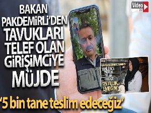 Bakan Pakdemirli tavukları telef olan kadın girişimciyi sevindirdi