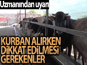 Kurbanlık alacaklara uzmanından önemli uyarılar