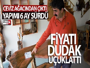 Ceviz ağacından çıktı, fiyatı yarım milyondan fazla