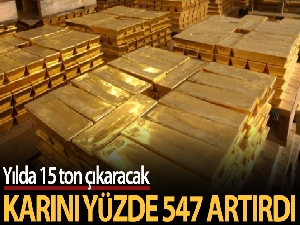 Yılda 15 ton altın çıkarmak için çalışmalar devam ediyor