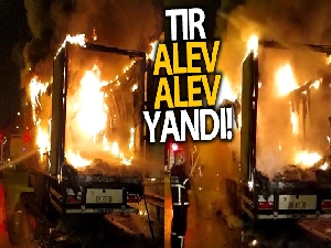 TEM Otoyolu'nda tır alevlere teslim oldu