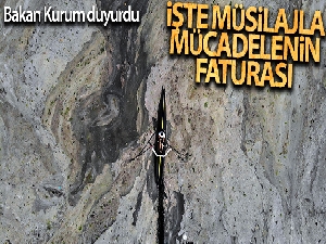 Çevre ve Şehircilik Bakanı Kurum müsilajla mücadelenin faturasını açıkladı