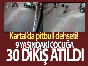 Kartal'da pitbull dehşeti: 9 yaşındaki çocuğa 30 dikiş atıldı