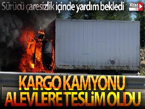 Başkent'te kargo kamyonu alevlere teslim oldu