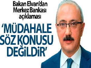 Bakan Elvan: 'Merkez Bankası'na müdahale söz konusu değildir'