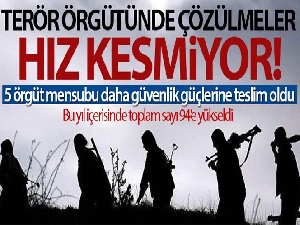 PKK'da çözülme devam ediyor, 5 örgüt mensubu daha ikna yoluyla teslim oldu