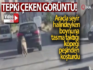Araçla seyir halindeyken boynuna tasma taktığı köpeği peşinden koşturdu