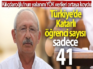 2019-2020 verilerine göre Türkiye'de Katarlı öğrenci sayısı 41
