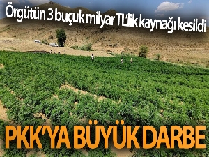 Jandarmadan, terör örgütü PKK'nın finans kaynağına büyük operasyon