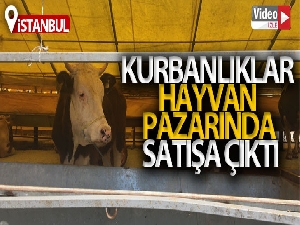 Kurbanlıklar hayvan pazarında satışa çıktı