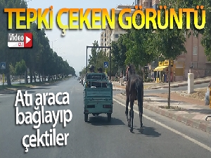 Atı araca bağlayıp çektiler