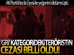 AK Parti Meclis Üyesi ile yeğenini öldüren 'Gri' kategorideki teröristin cezası belli oldu!