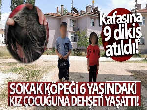 Sokak köpeği 6 yaşındaki kız çocuğuna dehşeti yaşattı