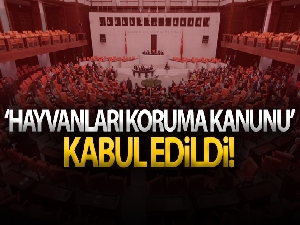 Hayvanları Koruma Kanunu teklifi komisyonda kabul edildi