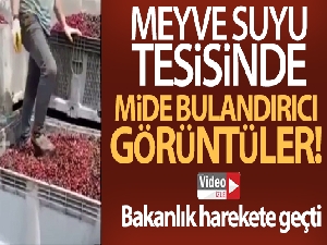 Meyve suyu tesisi ürün toplama merkezinde mide bulandırıcı görüntü
