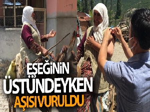 Köylü kadından aşı ekiplerine eşek sırtında moral şiiri: Eşeğinin üstündeyken aşısı vuruldu