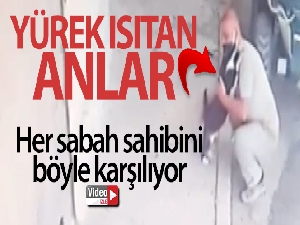 Kedi her sabah sahibini kapıda karşılayarak kucaklıyor