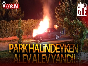 Park halindeki otomobil alev alev yandı