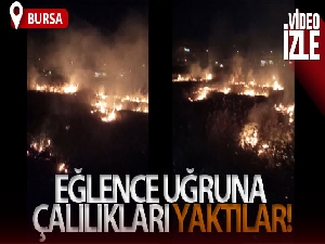 Bursa'da eğlence uğruna çalılıkları yaktılar