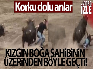 Boğa Güreşleri Festivalinde boğa sahibinin üzerinden geçti