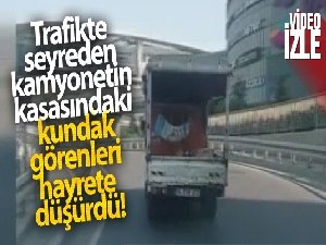Trafikte seyreden kamyonetin kasasındaki kundak, görenleri hayrete düşürdü