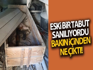 Diyarbakır'da cami bahçesinde bulunan eski tabuttan cephanelik çıktı