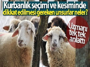 Kurbanlık seçimi ve kesiminde dikkat edilmesi gereken unsurlar