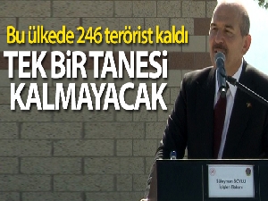 İçişleri Bakanı Soylu: 'Her saldırıya güçlenerek cevap veren bir Türkiye var hamdolsun'