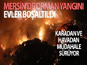 Mersin'deki orman yangını devam ediyor