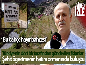 Türkiye'nin dört bir tarafından gönderilen fidanlar şehit öğretmenin hatıra ormanında buluştu