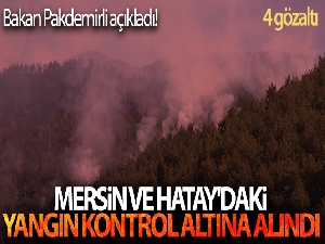 Mersin ve Hatay'daki yangın kontrol altına alındı: 4 gözaltı
