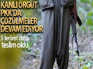 Terör örgütü PKK'da çözülme devam ediyor: 5 PKK'lı daha teslim oldu