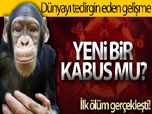 Çin, 'Monkey B' virüsünden ilk can kaybını bildirdi
