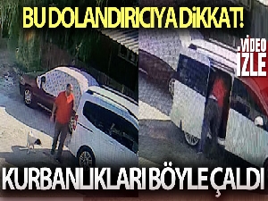 Bu dolandırıcıya dikkat...Yaşlı adamın kurbanlıklarını böyle çaldı