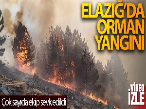 Elazığ'da orman yangını: Çok sayıda ekip sevk edildi