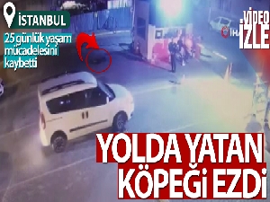 Esenyurt'ta otomobil yatan köpeğin üzerinden geçti