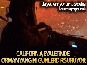 ABD'nin California eyaletinde orman yangını